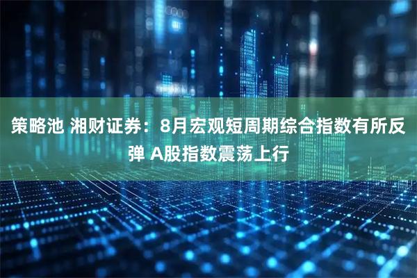策略池 湘财证券：8月宏观短周期综合指数有所反弹 A股指数震荡上行