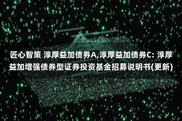 匠心智策 淳厚益加债券A,淳厚益加债券C: 淳厚益加增强债券型证券投资基金招募说明书(更新)
