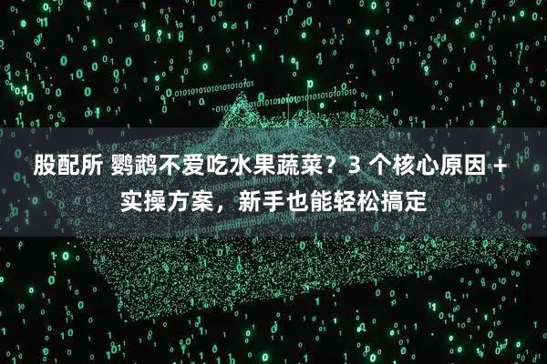 股配所 鹦鹉不爱吃水果蔬菜？3 个核心原因 + 实操方案，新手也能轻松搞定